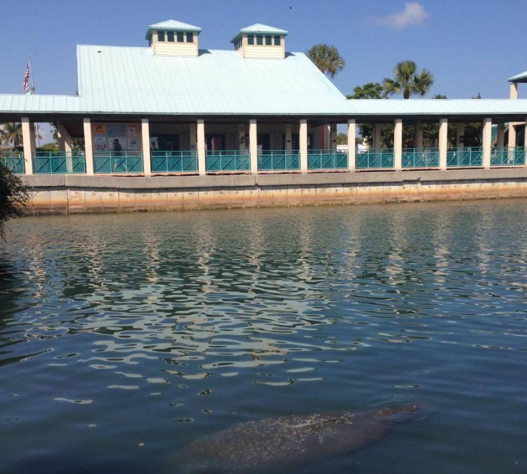 manatee-observation-and-education-center-photo